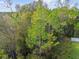 Beautiful view of surrounding natural growth from this property at 15354 Sweet Springs Bnd, Odessa, FL 33556
