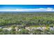 Breathtaking aerial view of community bordering a pond surrounded by lush forest at 3620 Cordgrass Dr, Valrico, FL 33596