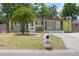 Inviting one-story home with green paint, a mature tree, and a driveway with basketball hoop at 10804 N Leo St, Tampa, FL 33612