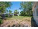 Backyard with many tall trees on a sunny day. The grass is patchy at 6011 67Th N Ave, Pinellas Park, FL 33781