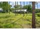 Large, grassy backyard featuring trees and a view of the house with a screened-in pool at 9912 Pine Leaf Ln, Dade City, FL 33525