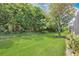 Lush backyard with mature trees, plants, and well-kept lawn creating a tranquil and private outdoor space at 163 Shell Falls Dr, Apollo Beach, FL 33572