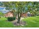 Spacious backyard with a mature tree and well-maintained lawn, providing a serene and private outdoor space at 163 Shell Falls Dr, Apollo Beach, FL 33572