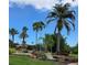 Scenic water feature includes lush landscaping, tropical palm trees, and natural stone at 163 Shell Falls Dr, Apollo Beach, FL 33572