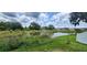 Scenic backyard view featuring a tranquil pond surrounded by lush greenery at 3188 Nubbin Ridge Ln, Zephyrhills, FL 33540