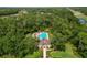 Aerial view of a resort-style pool with lounge chairs surrounded by lush greenery and towering trees at 16804 Hawkridge Rd, Lithia, FL 33547