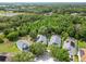 Expansive aerial view of several homes, highlighting lush landscaping and neighborhood layout at 16804 Hawkridge Rd, Lithia, FL 33547