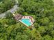 Aerial view of a community pool and clubhouse area surrounded by lush greenery and trees at 16804 Hawkridge Rd, Lithia, FL 33547