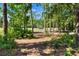 View of the golf course from the home with trees in the foreground and golf carts in the background at 34852 Teeview Ln, Zephyrhills, FL 33541