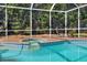 Screened-in pool and spa with outdoor seating, perfect for relaxing or entertaining guests at 3507 Autumn Glen Dr, Valrico, FL 33596