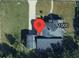 An aerial view showcases the home's location with its well-maintained yard and surrounding landscape at 1002 W La Salle St, Tampa, FL 33607