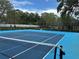 Community tennis court for recreation at 4022 Tumble Wood Trl # 101, Tampa, FL 33613