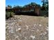 Charming single-story home with a lawn and mature trees at 4108 W Euclid Ave, Tampa, FL 33629
