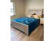 Cozy bedroom with modern decor featuring a comfortable bed and ample natural light at 704 Queens Ct, Seffner, FL 33584