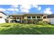 Well-maintained backyard featuring lush lawn, mature hedges, and a covered patio at 11825 Frost Aster Dr, Riverview, FL 33579
