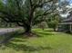 Grassy front yard featuring a massive, shady, old growth tree, and cozy home at 2802 Midway Rd, Plant City, FL 33565