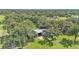 Scenic view from above of the back of the house surrounded by mature trees and an open green field at 1309 Joe Mcintosh Rd, Plant City, FL 33565