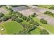 Aerial view of property with green fields and multiple trees surrounding the house at 1309 Joe Mcintosh Rd, Plant City, FL 33565