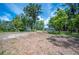 Spacious, partially grassy backyard with large mature trees and shed at 2633 Keysville Dr, Lithia, FL 33547