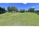 Sprawling green lawn and mature trees surround the property, providing a serene and private setting at 4611 Executive Meadows Dr, Plant City, FL 33567