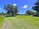 Spacious grassy field with fenced border and mature trees at 4611 Executive Meadows Dr, Plant City, FL 33567