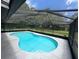 Inviting in-ground screened pool with a view of the backyard at 37341 Rutledge Dr, Zephyrhills, FL 33541