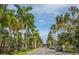 Palm tree-lined street in Venice, Florida at 454 Cerromar Rd # 275, Venice, FL 34293