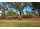 Peaceful view of a golf course with mature trees at 454 Cerromar Rd # 275, Venice, FL 34293