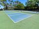 Multiple pickleball courts for active outdoor fun at 5220 Palena Blvd, North Port, FL 34287
