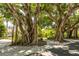 Mature banyan trees provide shade and curb appeal at 14462 Fort Worth Cir, Port Charlotte, FL 33981