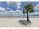 Sandy beach with a single palm tree and ocean view at 14462 Fort Worth Cir, Port Charlotte, FL 33981