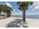 Scenic beach view with palm trees and calm water at 14462 Fort Worth Cir, Port Charlotte, FL 33981