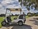 White golf cart with clubs parked on paved path near lush green at 1015 Beach Manor Cir # 53, Venice, FL 34285