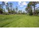 Serene backyard featuring tall trees and grassy terrain at 4619 Flint Dr, North Port, FL 34286