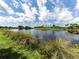 Serene lake view with lush green landscaping and palm trees at 5221 Laurel Oak Ct, North Port, FL 34287