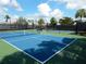 Two well-maintained blue pickleball courts with green surrounds at 11655 Renaissance Blvd, Venice, FL 34293