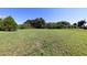 Large grassy backyard, providing ample space for outdoor activities at 12004 Sarto Ln, North Port, FL 34287