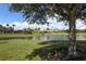 Scenic pond with lush landscaping and clubhouse view at 2183 Nettlebush Ln, Venice, FL 34292