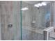 Large walk-in shower with gray tile at 24273 Spartina Dr, Venice, FL 34293
