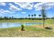 Serene lakefront property with lush green landscape at 24273 Spartina Dr, Venice, FL 34293