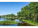 Peaceful pond view with lush vegetation and wildlife at 4195 Fairway Pl, North Port, FL 34287