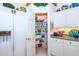 Well-organized pantry with adjustable shelving at 4195 Fairway Pl, North Port, FL 34287