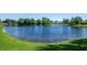 Serene lake view with lush green landscaping at 4195 Fairway Pl, North Port, FL 34287