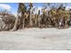 Beachfront lot with palm trees, storm damage present at 4024 Casey Key Rd, Nokomis, FL 34275