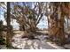 Beachfront view with damaged vegetation and debris at 4024 Casey Key Rd, Nokomis, FL 34275
