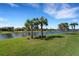 Scenic waterfront view with lush landscaping at 13339 Pacchio St, Venice, FL 34293