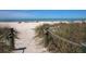 Beach access through grassy dunes at 737 Shakett Creek Dr, Nokomis, FL 34275