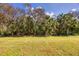 Expansive backyard with tropical landscaping at 1222 Collier Pl, Venice, FL 34293