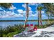 Tranquil lakeside setting with benches and palm trees at 172 Southampton Pl # 346, Venice, FL 34293