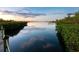 Scenic waterway view with lush mangroves and peaceful atmosphere at 1109 Bayshore Rd, Nokomis, FL 34275